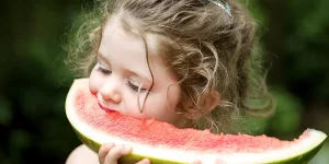 Lee más sobre el artículo Comida saludable: qué es y opciones nutritivas