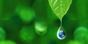 Lee más sobre el artículo Cómo cuidar el medio ambiente en 10 pasos sencillos