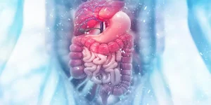 Lee más sobre el artículo Enfermedades del sistema digestivo: Conócelas y aprende a evitarlas