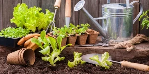 Lee más sobre el artículo Huerta en casa: Paso a paso para construirla con material reciclable