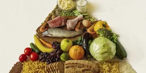Lee más sobre el artículo Clasificación de los alimentos: guía para una dieta equilibrada