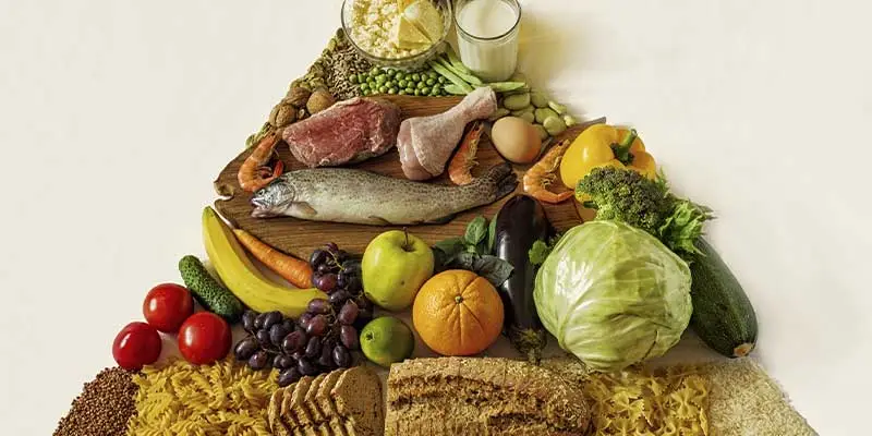 En este momento estás viendo Clasificación de los alimentos: guía para una dieta equilibrada