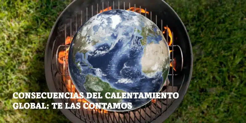 En este momento estás viendo Consecuencias del calentamiento global: te las contamos