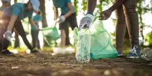 Lee más sobre el artículo Voluntariado ambiental y los mejores lugares para hacer uno