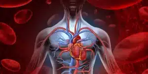 Lee más sobre el artículo Riesgo vascular, aprende sobre su importancia y cómo mejorarlo