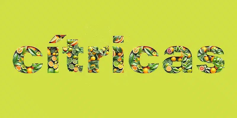 En este momento estás viendo Frutas cítricas: ¿cuántas se deben consumir a diario y por qué?