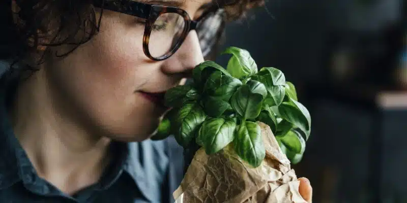 En este momento estás viendo Veganismo: guía completa para principiantes