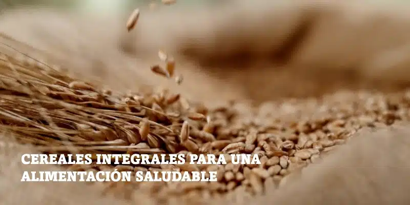 En este momento estás viendo Cereales integrales para una alimentación saludable