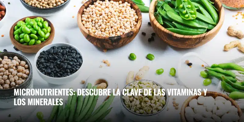 En este momento estás viendo Micronutrientes: descubre la clave de las vitaminas y los minerales
