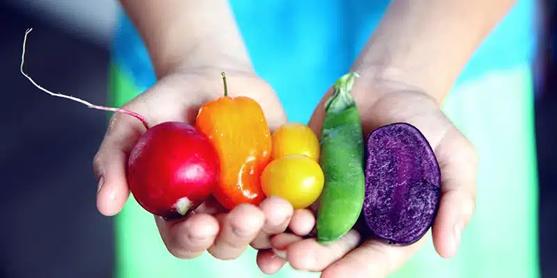 En este momento estás viendo Alimentación sostenible: claves para cuidar tu salud y el planeta