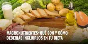 Lee más sobre el artículo Macronutrientes: qué son y cómo deberías incluirlos en tu dieta