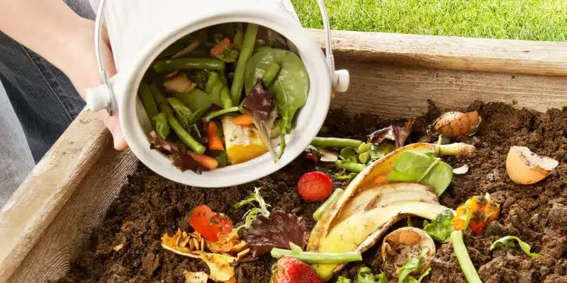 En este momento estás viendo Compost casero: transforma tus residuos en nutrientes para la tierra